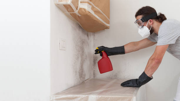 Professional Mold Removal technician working in Central Islip, NY