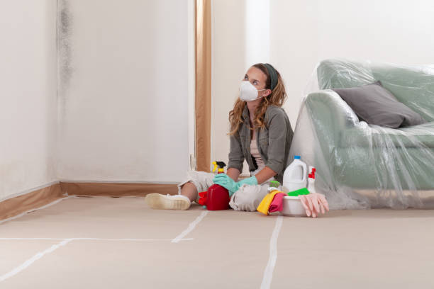 Reliable Mold Removal contractor in Central Islip, NY by WQB Mold Removal